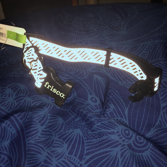 Frisco Reflective Dog Collar {not chew proof} - Picture 7 of 7